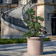 Heritage taupe hengeres fiberstone kaspó formára nyírt örökzölddel, elegáns kültéri környezetben