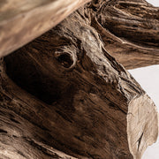 suarfa törzséből készült törzsi stílusú, nagy méretű organikus dohányzóasztal