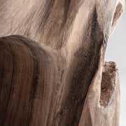 Suarfa faerezet részlet – természetes barna árnyalatok