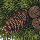 ABIES zöld mű jegenyefenyő koszorú , közeli képe a termésekről.