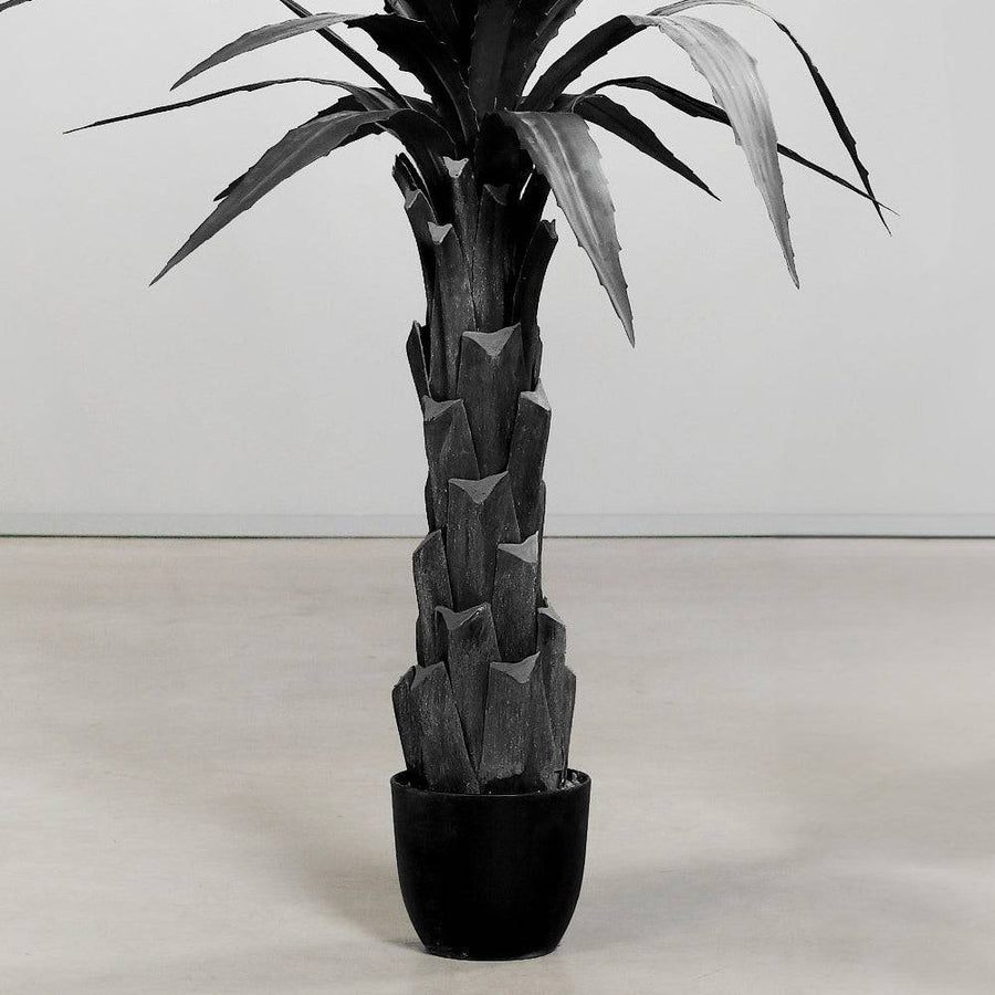 Modern fekete agave műnövény texturált törzzsel és fekete cserépben.