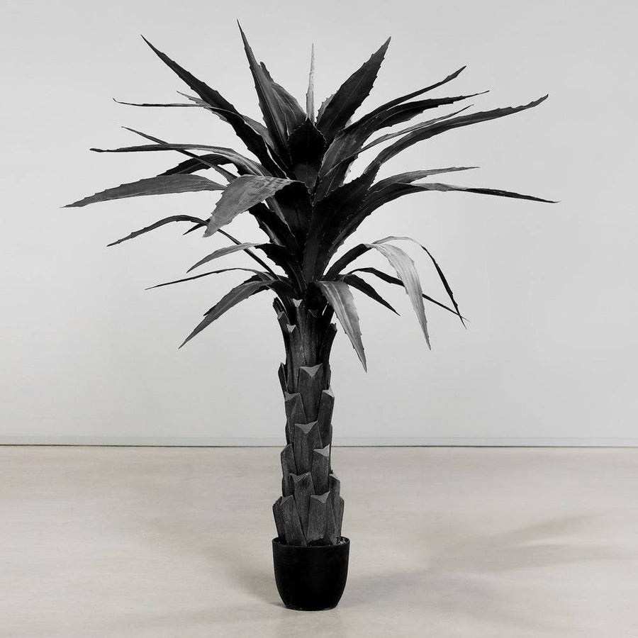 Kortárs enteriőrbe helyezett 150 cm magas fekete agave műnövény.