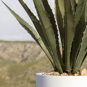AGAVE mű növény részletgazdag, hosszú zöld levelekkel és természetes hatású kavics dekorációval