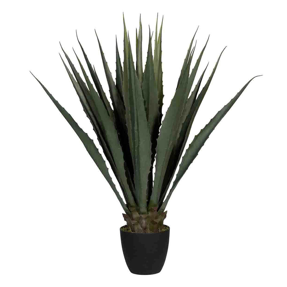 AGAVE zöld mű agávé növény 103 cm magas kivitelben fekete nevelőcserépben