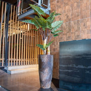 ALOCASIA műnövény exkluzív belső térben, modern magas kaspóban elhelyezve