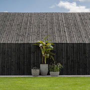 ALOCASIA mű bokor kültéren elhelyezve – dekorációs célú fotó, beltéri használatra ajánlott