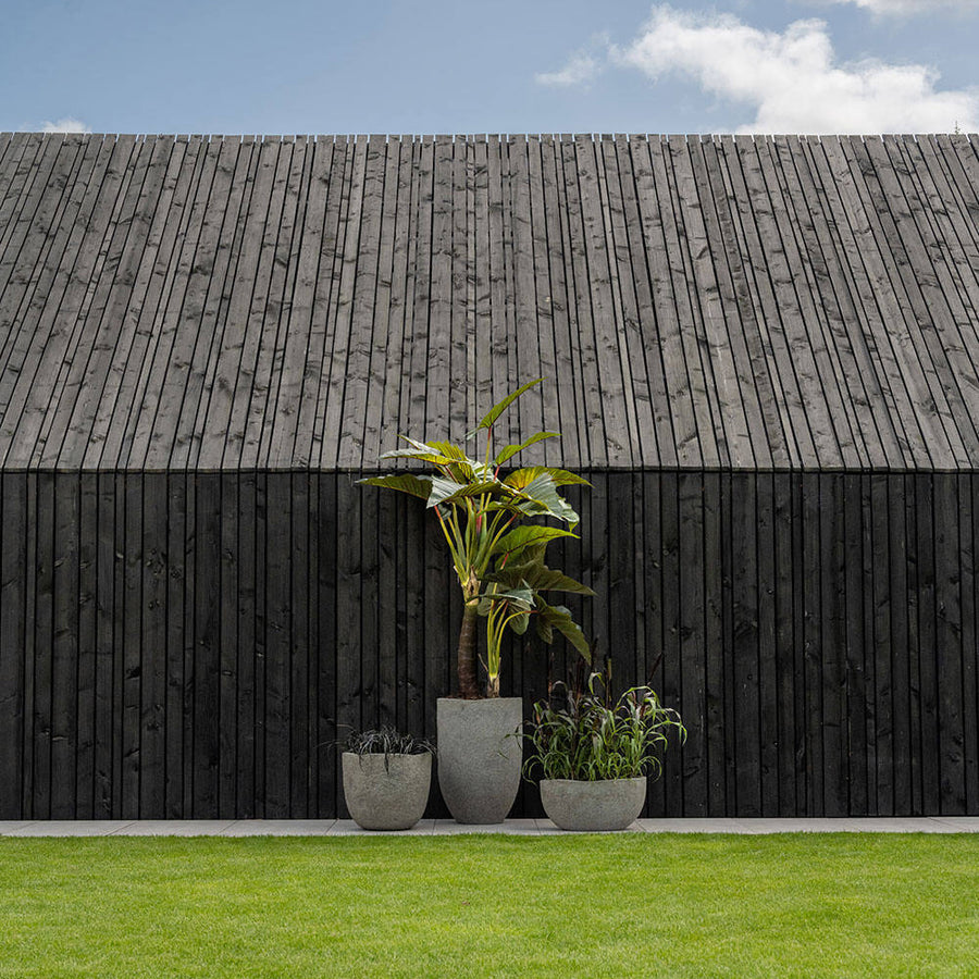 ALOCASIA mű bokor kültéren elhelyezve – dekorációs célú fotó, beltéri használatra ajánlott