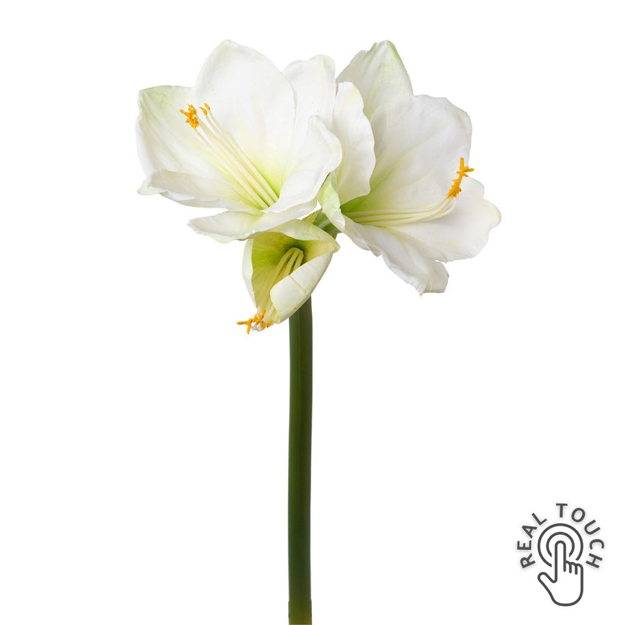 Fehér színű, amarillisz művirág.