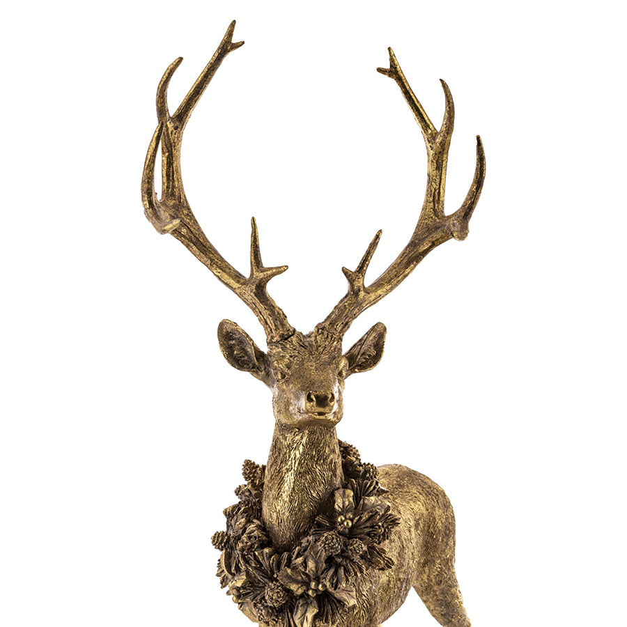 Arannyal antikolt szarvas hátulnézetben, látványos agancsokkal