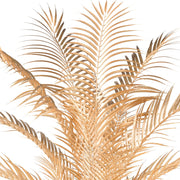 Fémes arany levelek részletgazdag kidolgozása az arany Areca pálmán.