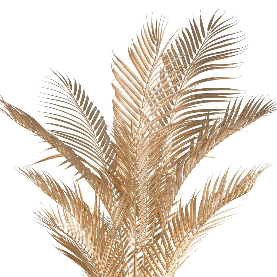 Fémes arany levelek részletgazdag kidolgozása az arany Areca pálmán.