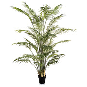 Élethű Areca Forest mű erdei aranypálma 210 cm fekete kaspóban.