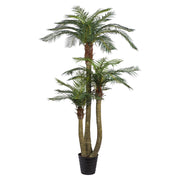 Prémium minőségű, 250 cm magas mű areca pálma fekete cserépben fehér háttér előtt