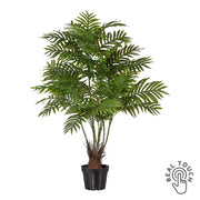 ARECA zöld mű aranypálma 110 cm magas fekete kaspóban, Real Touch kivitelben, teljes növény fotó fehér háttérrel