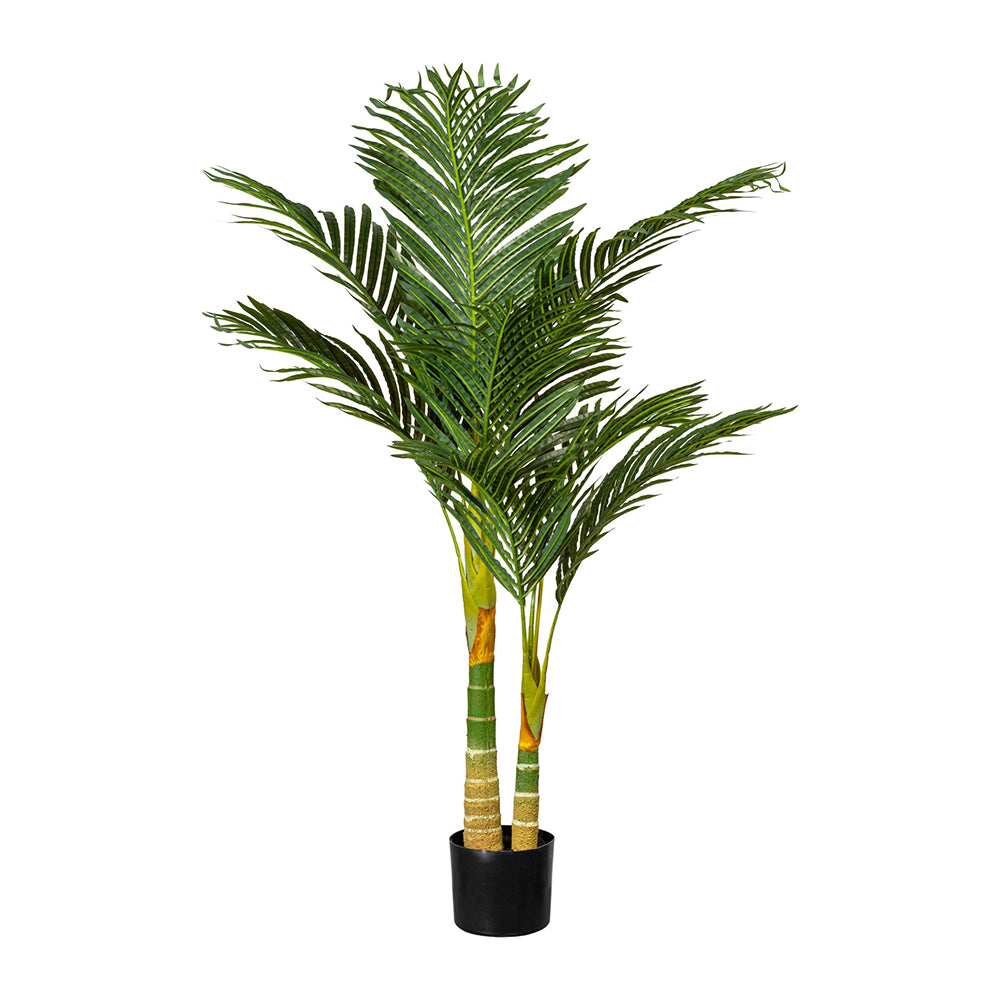 Élethű, 120 cm magas mű areca pálma fekete kaspóban fehér háttér előtt.