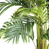 Mű aranypálma levele közelről fotózva.