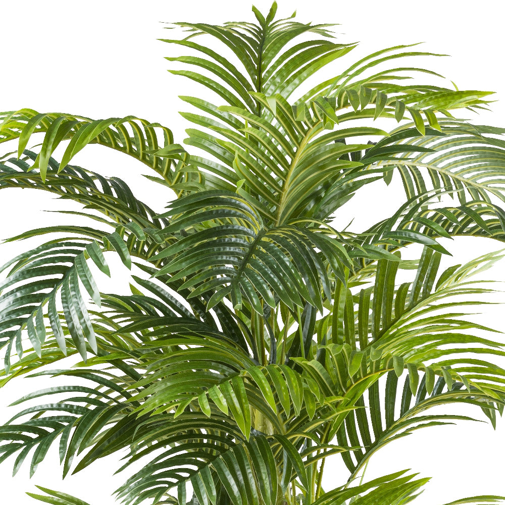 Élethű Areca pálma dús zöld leveleinek részletfotója.
