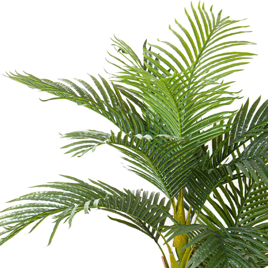 Részletgazdag levélzetű ARECA mű aranypálma közelről.