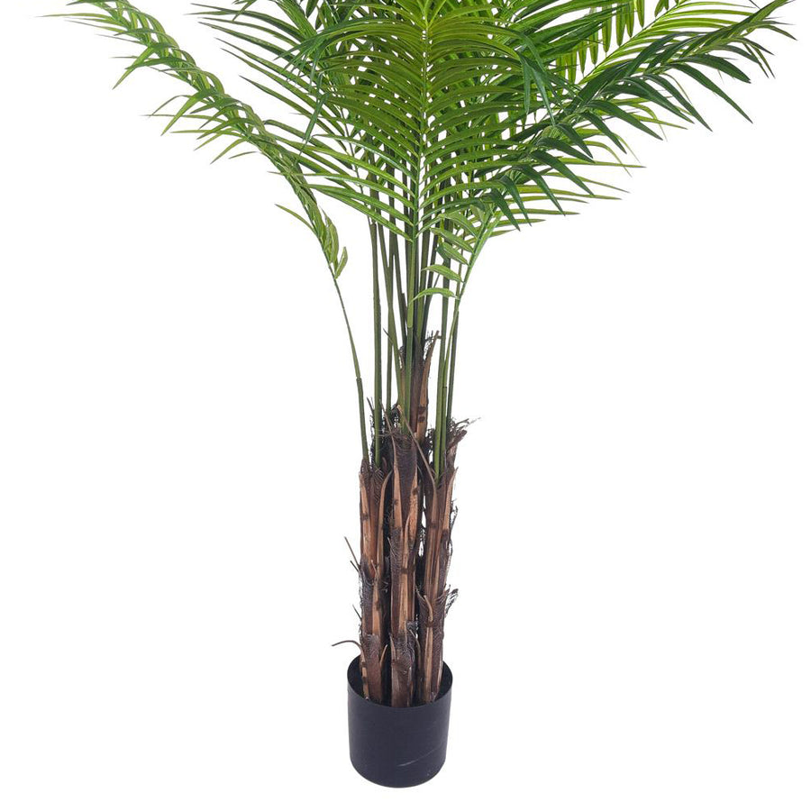ARECA mű aranypálma barna törzse fekete kaspóban