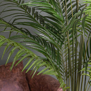 ARECA mű aranypálma levelei és törzse nappali környezetben