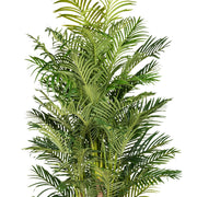 Élethű részletekkel kidolgozott mű aranypálma zöld levelei közelről