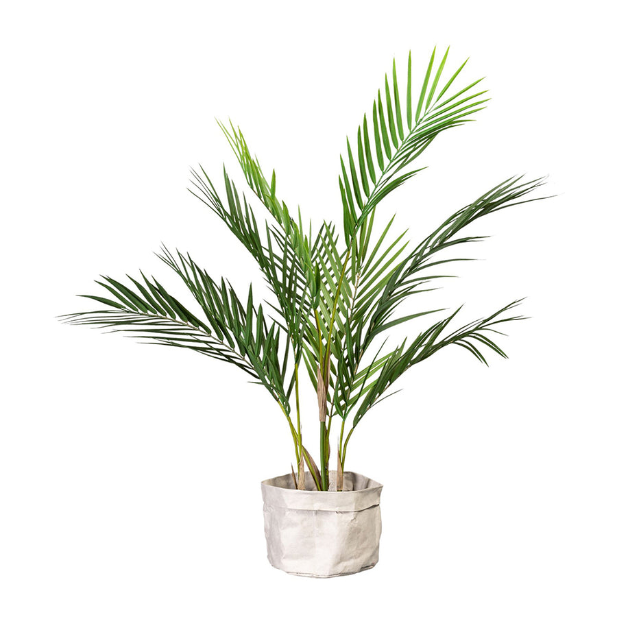 ARECA mű aranypálma világos díszcserépben.