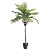 Élethű Areca zöld mű pálmafa 200 cm magas, fekete műanyag kaspóban.