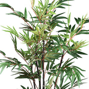 Közelkép a kínai mű bambusz finoman erezett, zöld leveleiről és pirosas levélhajtásairól.