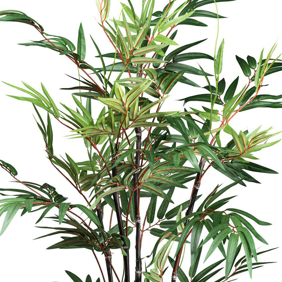 Közelkép a kínai mű bambusz finoman erezett, zöld leveleiről és pirosas levélhajtásairól.