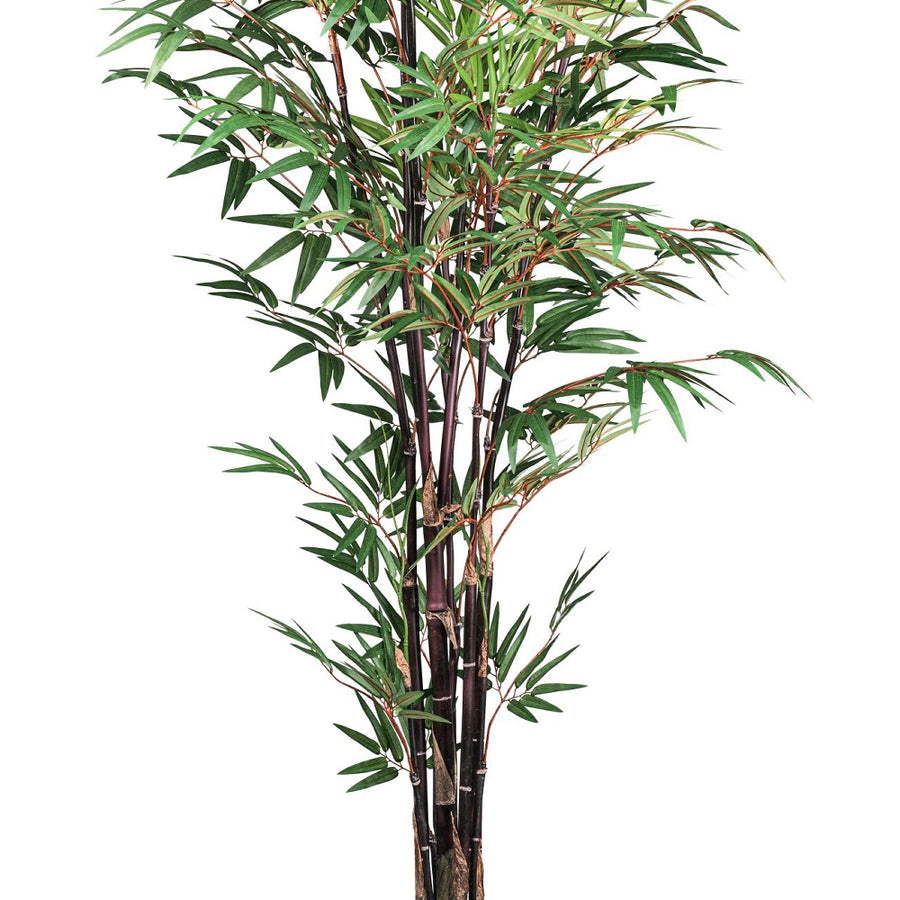 Közelkép a mű bambusz vastag, bordó színű száráról és sűrűn elhelyezkedő leveleiről.