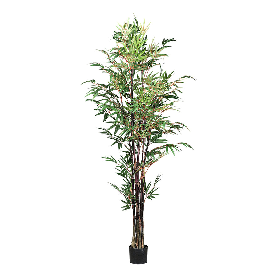 Mű bambusz növény 190 cm-es magasságban, fekete kaspóban, fehér háttér előtt.