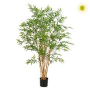 150 cm magas, UV-álló mű japán bambusz cserje fekete kaspóban, valódi bambusz törzzsel és sűrű, lándzsa alakú levelekkel.