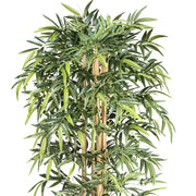 Valósághű bambusz levelek közelről