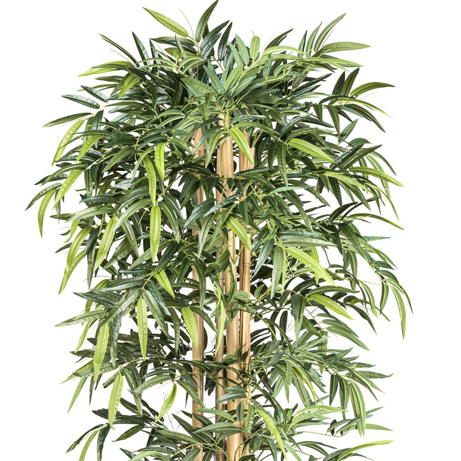 Valósághű bambusz levelek közelről