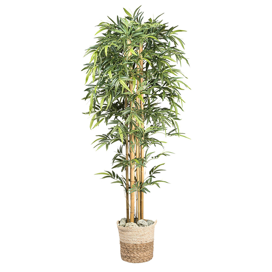 Dekoratív mű bambusz természetes stílusú kaspóban