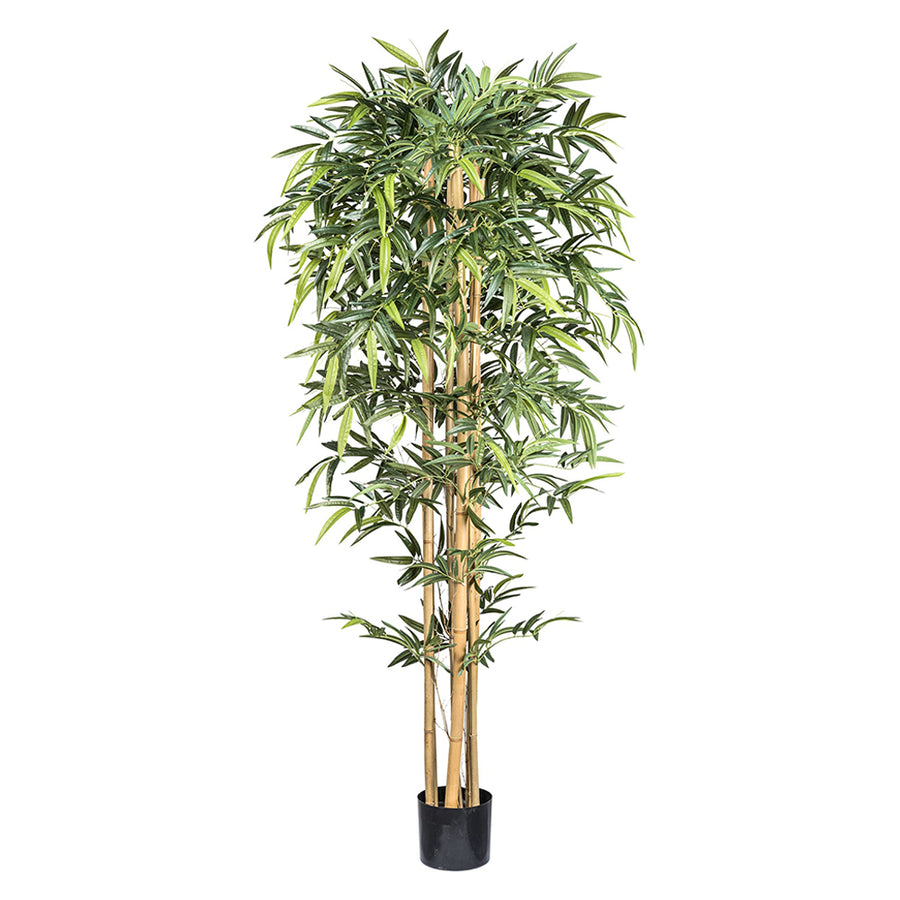 Zöld mű bambusz dekoráció 210 cm magasan, természetes törzzsel