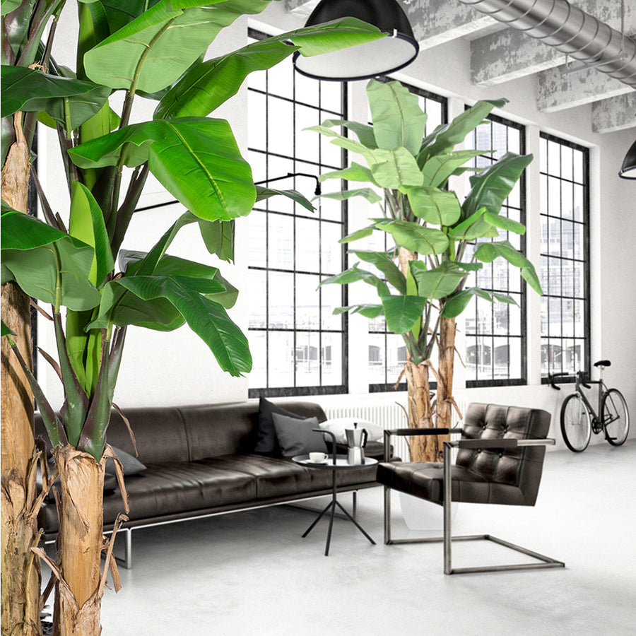 Élethű, 30 leveles óriás mű banánfa nappali dekorációban