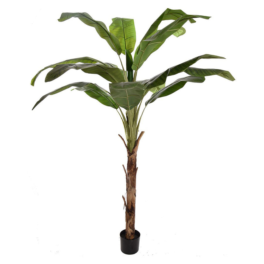 Élethű 180 cm magas mű banánfa fekete kaspóban, trópusi stílusban