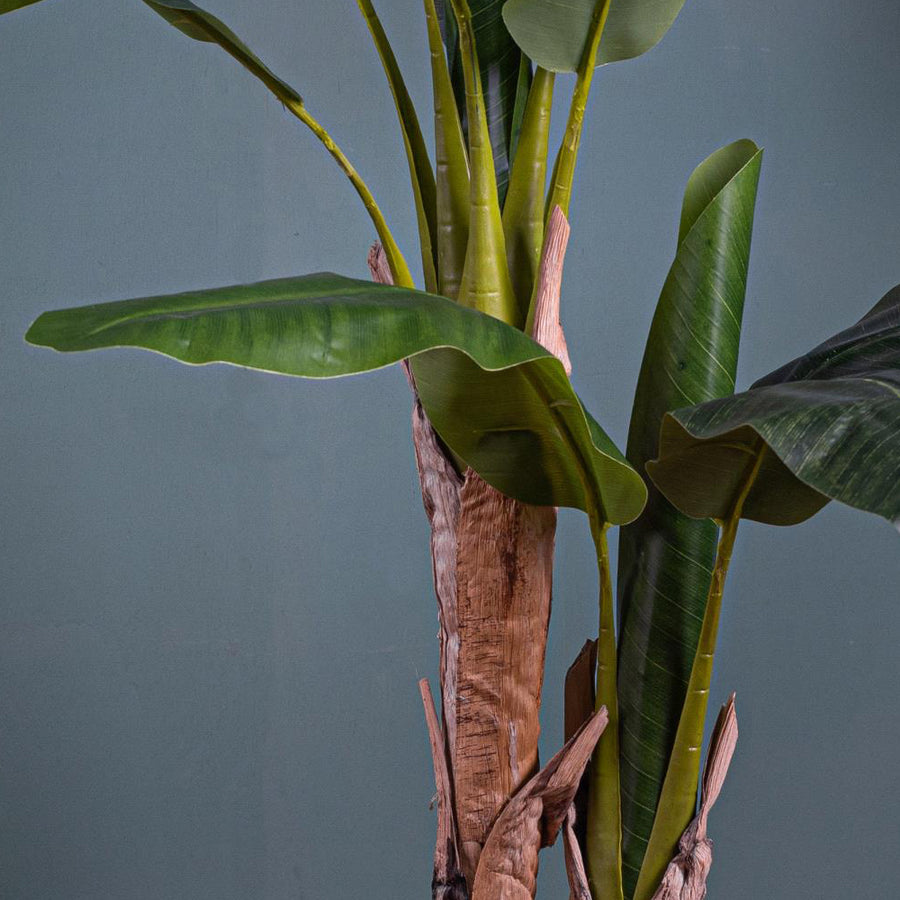 Mű banánfa valódi fa törzzsel és részletgazdag levelekkel