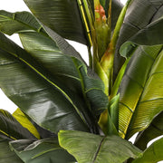 Közelről fotózott, részletgazdag mű banánfa levelei és lombkoronája, különböző árnyalatú zöld színekkel.