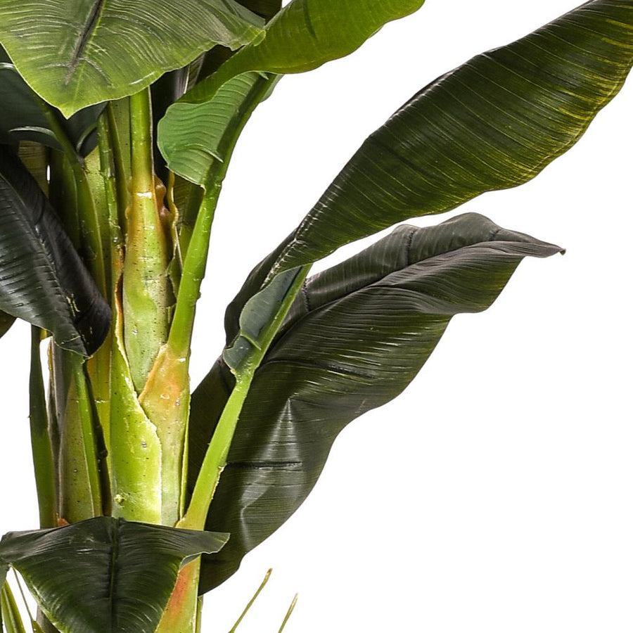 A mű banánfa törzsének és leveleinek találkozási pontja, részletes, valósághű kidolgozással.