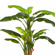 Élethű mű banánfa leveleinek közelképe trópusi hangulattal