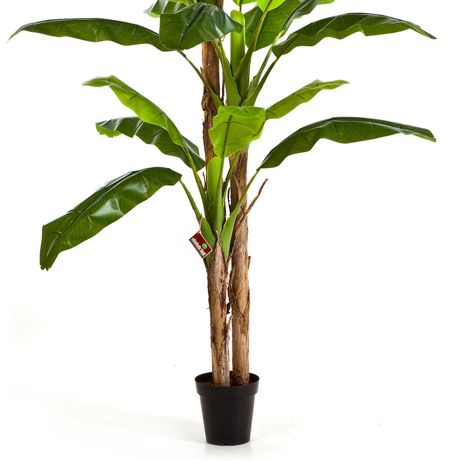 Banano mű banánfa szintetikus törzse és fekete kaspója közelről