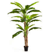240cm magas, 27 leveles mű banánfa három törzzsel, fekete kaspóban