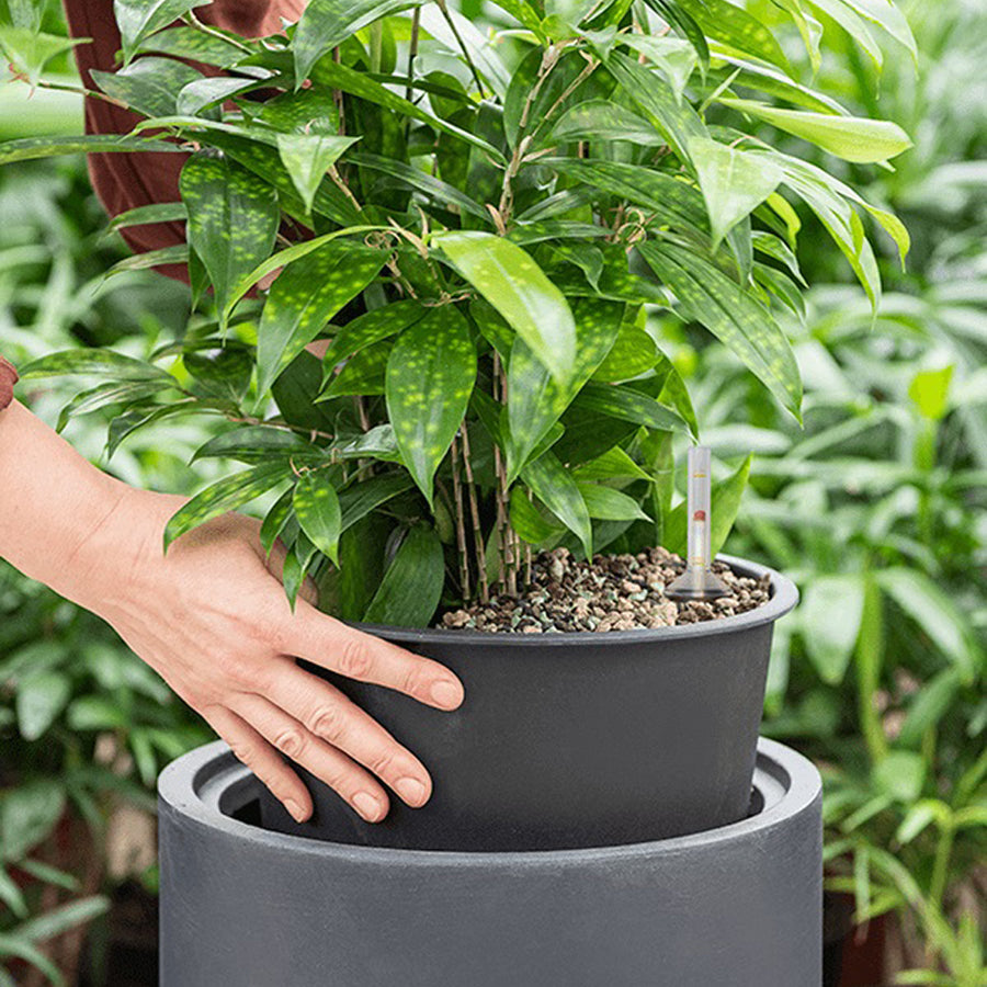 BAQ Basic Cylinder kaspó belső linerrel, kézi behelyezés közben, növény és vízszintmérő eszközzel.