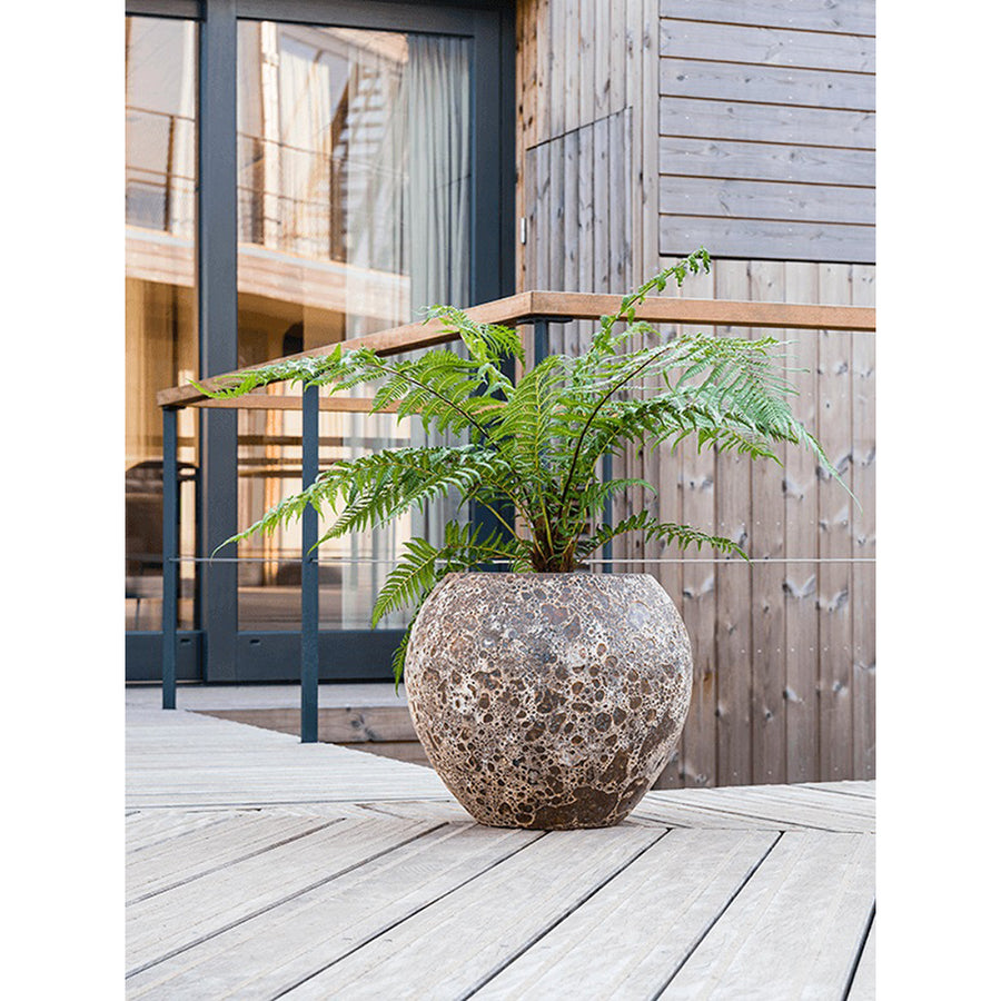 BAQ Lava Balloon kaspó kültéren elhelyezve – természetes, kerekded formájú design kaspó páfránnyal