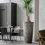 BAQ Lava Partner kerámia kaspó modern enteriőrben elhelyezve, benne egy nagyobb beltéri növénnyel.