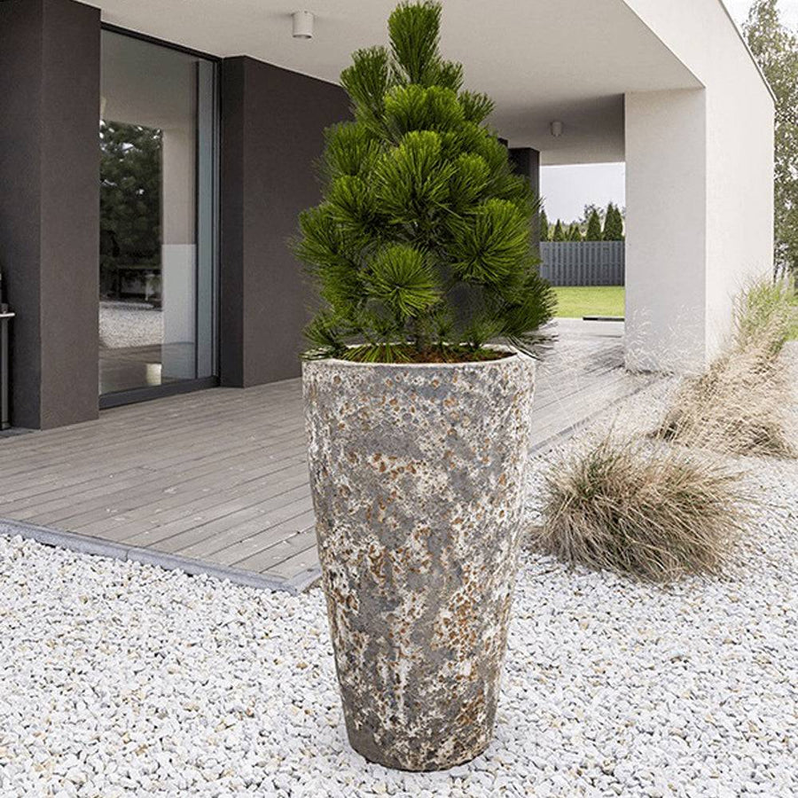 BAQ Lava Partner Straight kaspó modern kültéri enteriőrben elhelyezve, fenyőfával beültetve.