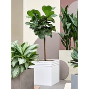 BAQ Line-Up Cube Matt White kaspó különböző növényekkel, modern belső térben elhelyezve