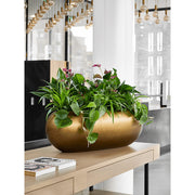 Modern irodai enteriőr BAQ Metallic Boat HONEY kaspóval és élénk zöld szobanövényekkel.